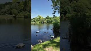 Hampstead heath london travel [upl. by Adolfo]