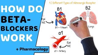 Nondepolarizing Neuromuscular Blockers Mnemonic for USMLE [upl. by Eitsyrhc]