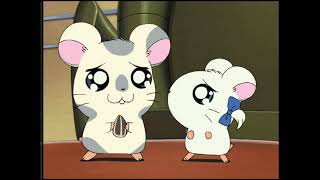 Hamtaro Episode 135 English Subbed quotHamtaro gets coldquot ハム太郎 第135話 英語字幕付き 「ハム太郎が風邪をひいちゃう」 [upl. by Wiggins603]