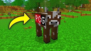 NIEZNANE DEMO MINECRAFTA 🙀 [upl. by Akemyt]