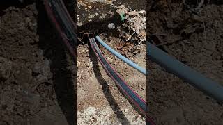 How to install conduit underground how to foryou [upl. by Fatimah369]