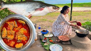 প্রথম বার 5kg পাঙ্গাস মাছ কেটে রান্না করলাম  Fish Curry Recipe [upl. by Angadresma]