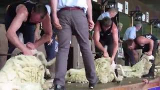 Royal Highland Show 2016 Sheep Shearing Open Final  WATCH IN HD [upl. by Aray]