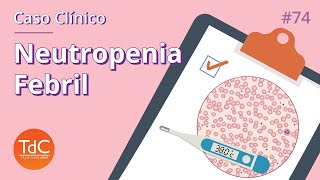 Neutropenia Febril  Como abordar Episódio 74 [upl. by Annoda]