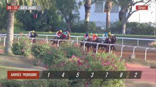 Live Hippodrome « CASABLANCA »  Courses du «16092024 » [upl. by Ayanet720]