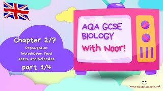 AQA GCSE Biology for the UK  Chapter 27 Organization Intro Molecules and Food tests  Part 14 [upl. by Sik624]