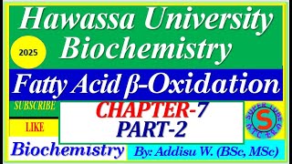 2 De Novo synthesis betaoxidation of fattyliver fat Lipid Metabolism metabolism university [upl. by Ahsekin]