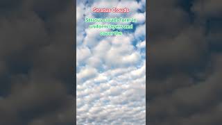 Clouds the interesting Facts Stratus Clouds Shorts [upl. by Adnama]