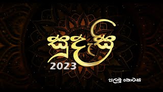 සුදැසි 2023  Concert of the Primary section  Newstead Girls College  Part 1 [upl. by Filemon]