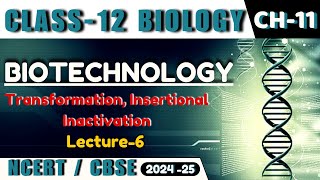 BIOTECHNOLOGY I L6 I PRINCIPLES AND PROCESS I TRANSFORMATION I CLASS12 I NEETCBSEState Board [upl. by Enyedy]