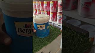 Berger Paints All Products Available bergerpaints berger youtubeshorts youtube youtubevideos [upl. by Barnard]