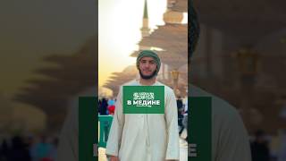 Напиши слово «монтаж» и я свяжусь с тобой ramadan напоминание nasheed mecca medina madinah [upl. by Eadith]