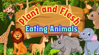 Plant And Flesh Eating Animals  Herbivorous  Carnivorous and Omnivorous Animals [upl. by Brittne]