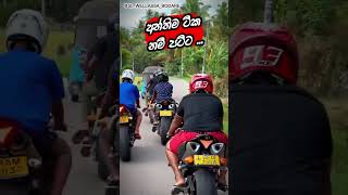 අන්තිම වෙනකන් බලන්නකෝ🤔R1 සෙට් එක මරු yamaha r1 shorttrending viralreels slbikes yzfr1 [upl. by Tacye740]