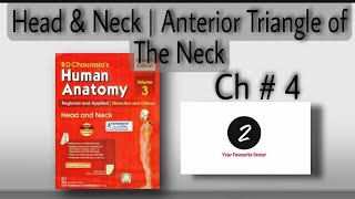 Anterior Triangle of the Neck  Head and Neck  Chapter 4  BD Chaurasia  Volume 3 [upl. by Ellirpa]