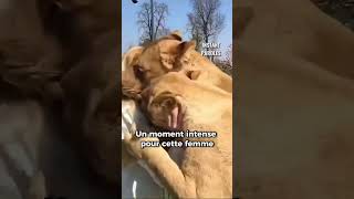 Les retrouvailles entre cette femme et ces deux lions vont vous surprendre 😳 [upl. by Polinski]