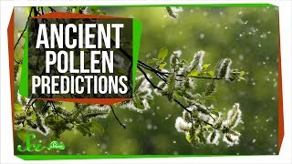 How Ancient Pollen Can Predict The Future [upl. by Spanjian]