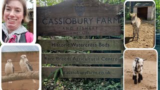 Cassiobury Farm visit 6th August 2023 [upl. by Greggs544]