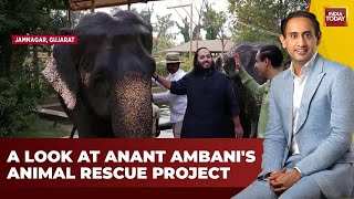 LIVE Anant Ambanis Animal Rescue Mission Unveiled on Jab We Met With Rahul Kanwal  India Today [upl. by Nailil]