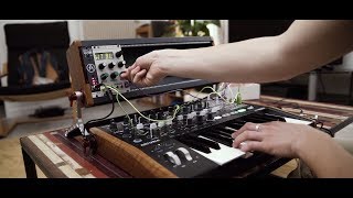 Arturia announces MiniBrute 2 EcoSystem MiniBrute 2 MiniBrute 2S RackBrute 3U6U [upl. by Fidela]