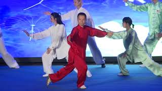 2017 思坦太极学校联合国演出Sitan Tai Chi amp Martial Arts UN Performance [upl. by Katheryn]