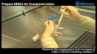 Prepare hESCs for Cryopreservation [upl. by Lerner]