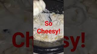 4 Ingredient Crockpot Tortellini Alfredo easy easyrecipe yummy food foodie foodlover cheese [upl. by Anitnemelc]