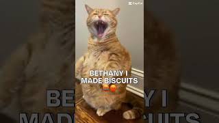 🐈 Bethany I made Biscuits 😡😤 funnymemes [upl. by Roby]