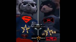 MEERKAT MOVIES SUPERMAN VS BATMAN OF JUSTICE COMPARE THE MARKETCOM [upl. by Lipfert]