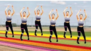 aerobics dance workout weight loss fat burning at homelovely dance fit [upl. by Lothair]