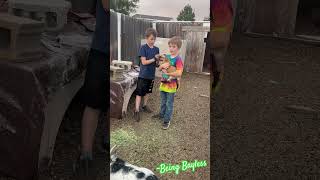 BeingBayless BaylessBoys FarmBoys Goats Goat FarmLife Family Fun Babies babygoats Blessed [upl. by Nadnal]