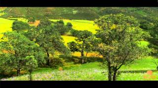 The Incredible Windover Farms  Colusa County California [upl. by Viviana274]