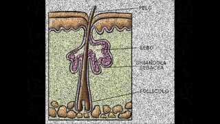 RIMEDI CASALINGHI curare i brufoli acne [upl. by Yebloc]