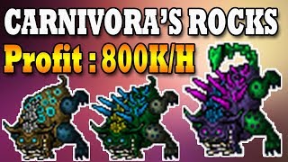 CARNIVORAS ROCKS  800K PROFIT 😲  Tibia [upl. by Jecho197]