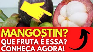 Mangostin ou Mangostão Que fruta é essa Veja agora o react da fruta mais gostosa do mundo [upl. by Adolph]