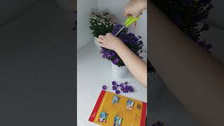 Drying flowers for resin jewelry howtomakejewelry handmadejewelry resinjewelry dryflowers [upl. by Marmawke]