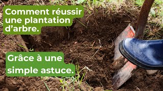 Plantation darbre  ça se prépare dès septembre [upl. by Assilim]