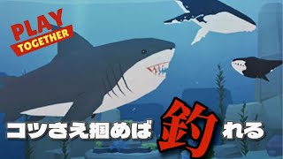 【一緒に遊ぼう】コツさえ掴めば巨大魚は釣れるよ [upl. by Hamner411]