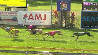 Capalaba07082024Race6 [upl. by Dagnah631]