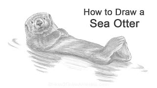 Sea Otter drawing 01  Sea animal drawings easy  How to draw Sea Otter step by step  easy drawings [upl. by Frasier]