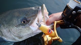 Penn Slammer 3 Fishing Reel Review [upl. by Boothman]