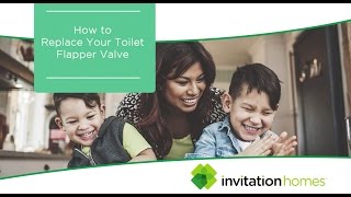 How to Replace Your Toilet Flapper Valve [upl. by Midis516]