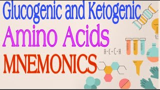 Glucogenic and Ketogenic Amino Acids MNEMONICS  Lecture 3 [upl. by Eirrotal]