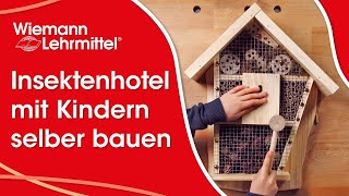 Ein Insektenhotel mit Kindern selber bauen 2022 [upl. by Aiki342]