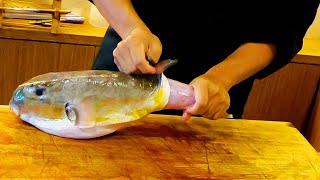 How to Fillet a Whole Puffer Fish 切割河豚 Donggang Seafood Taiwan [upl. by Marguerite]