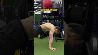 Serratus Anterior Exercise 3  Rehab復康 [upl. by Dosia]