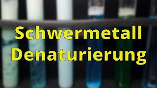 Denaturierung durch Schwermetalle  Bio Experimente [upl. by Wenger]