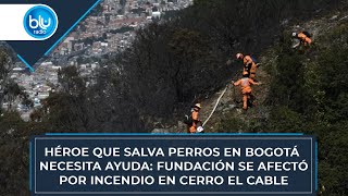 Héroe que salva perros en Bogotá necesita ayuda fundación se afectó por incendio en cerro El Cable [upl. by Fabozzi]