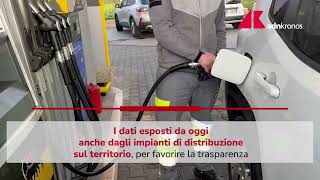 Prezzi medi carburanti pubblicati sul portale del Ministero delle Imprese [upl. by Ikin820]