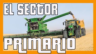 ✅✅✅ ¿Qué es el Sector PRIMARIO ✅✅✅ Explicación [upl. by Otsuaf]